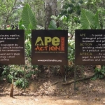 Robin-Huffman-Ape-Action-Africa-mission-statement-sign-Cameroon