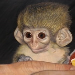 Robin-Huffman-Yoda-acrylic-painting-talapoin-monkey-orphan-Ape-Action-Africa